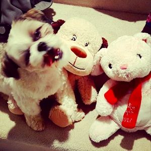 Meet your Posher, Jordan